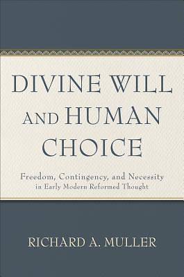 Picture of Divine Will and Human Choice