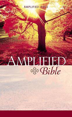 Picture of The Amplified Bible