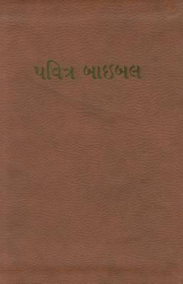 Picture of Gujarati Bible