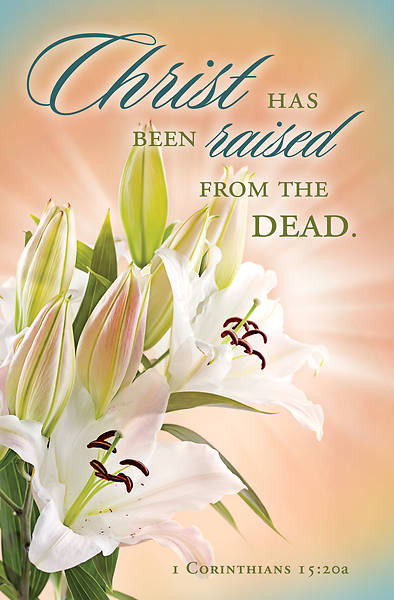 Picture of Christ Has Been Raised Easter Bulletin (Package of 100)