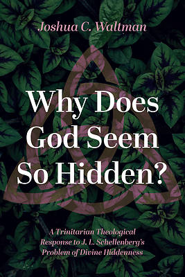 Picture of Why Does God Seem So Hidden?