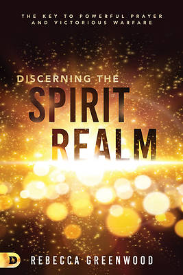 Picture of Discerning the Spirit Realm