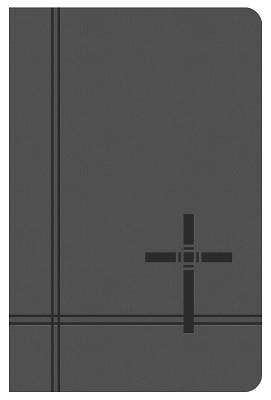 Picture of KJV Deluxe Gift & Award Bible [Gray]