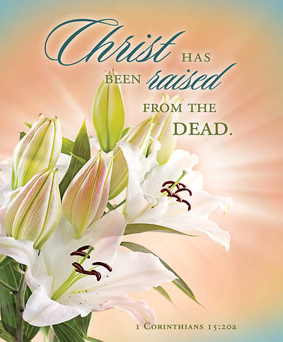 Picture of Christ Has Been Raised Easter Bulletin Legal (Package of 100)