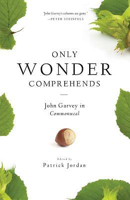 Picture of Only Wonder Comprehends [ePub Ebook]