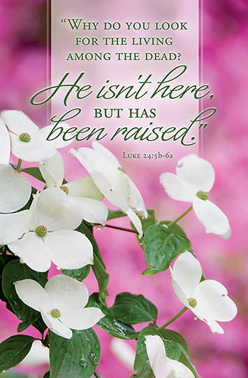 Picture of He Isn't Here Easter Bulletin (Package of 100)