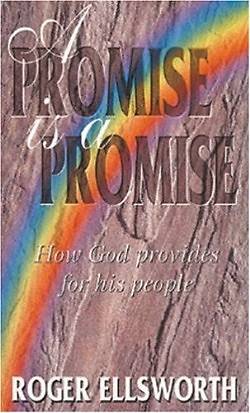 Picture of A Promise is a Promise
