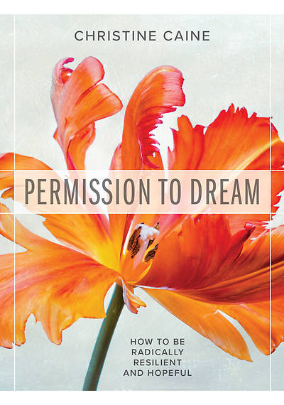 Picture of Permission to Dream