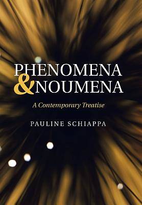 Picture of Phenomena & Noumena