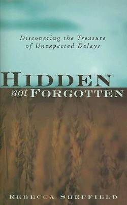 Picture of Hidden, Not Forgotten
