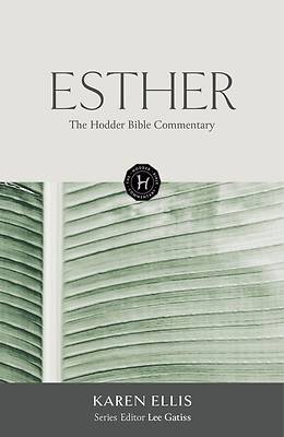 Picture of The Hodder Bible Commentary