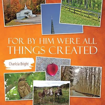 Picture of For by Him Were All Things Created