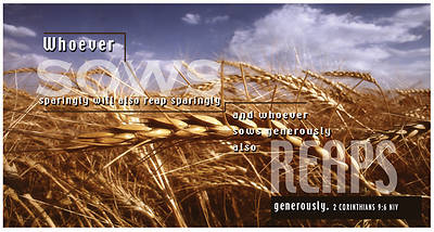 Picture of Wheat Fields, Special 4-Color Offering Evelopes