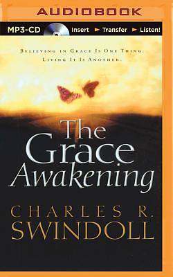 Picture of The Grace Awakening