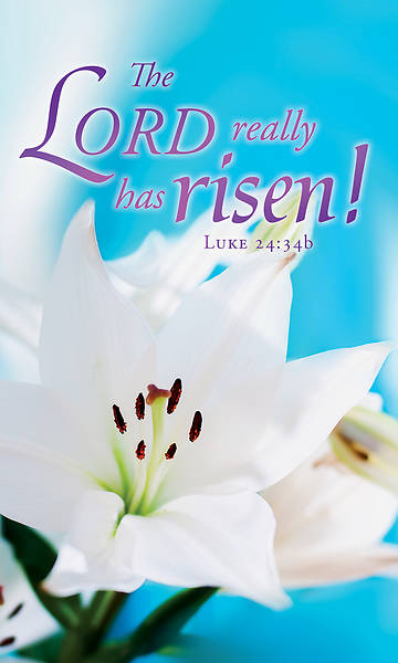 Picture of The Lord Really Has Risen! Easter 3' x 5' Fabric Banner