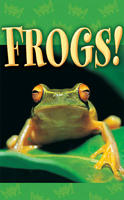 Picture of Frogs!