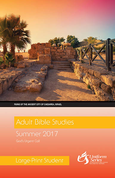 Picture of Adult Bible Studies Summer 2017 Student [Large Print]