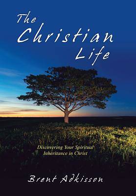 Picture of The Christian Life