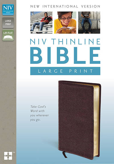 Picture of NIV Thinline Bible, Large Print