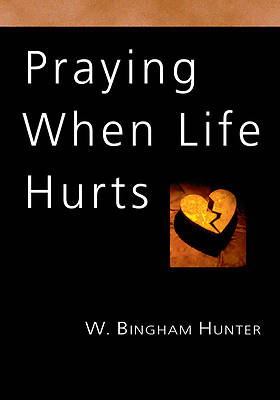 Picture of Praying When Life Hurts