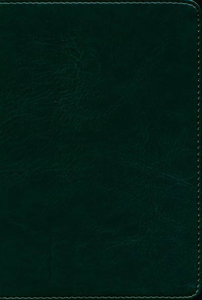 Picture of LSB Compact Edition Bible Forest Green Faux Leather