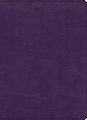 Picture of KJV Study Bible, Full-Color, Plum Leathertouch