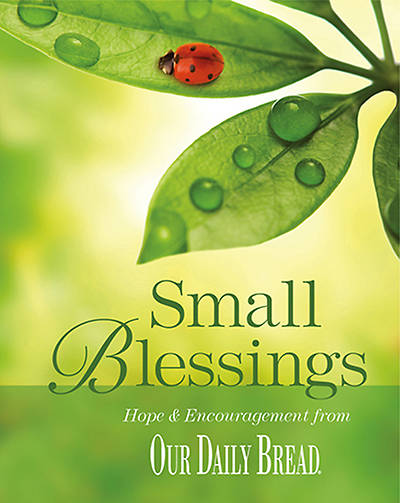 Picture of Small Blessings