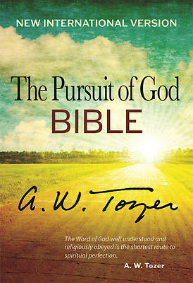 Picture of Pursuit of God Bible-NIV