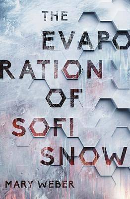 Picture of The Evaporation of Sofi Snow