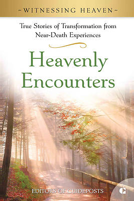 Picture of Heavenly Encounters