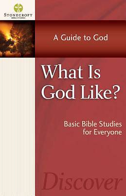 Picture of What Is God Like? [ePub Ebook]