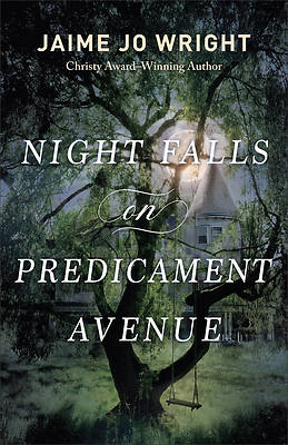 Picture of Night Falls on Predicament Avenue