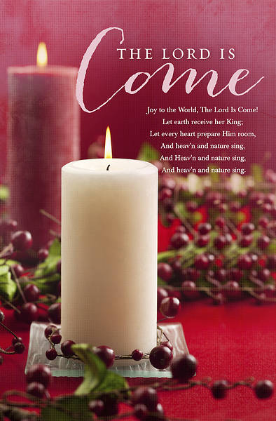 Picture of The Lord Is Come Christmas Bulletin