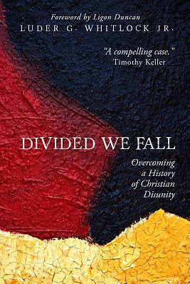 Picture of Divided We Fall