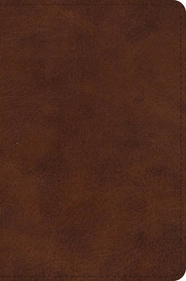 Picture of ESV Large Print Bible (Trutone, Deep Brown)