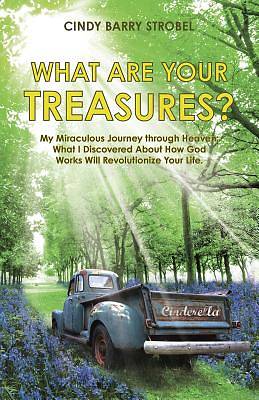 Picture of What Are Your Treasures?