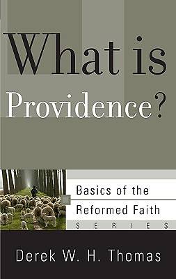 Picture of What Is Providence?