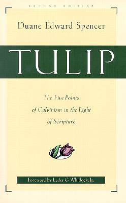 Picture of Tulip