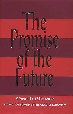 Picture of The Promise of the Future