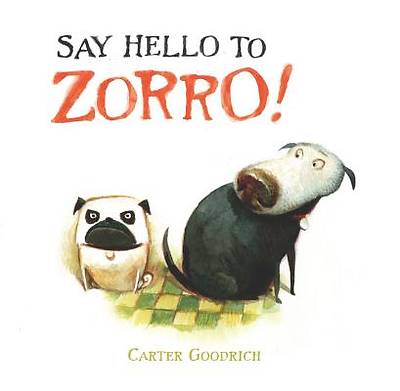 Picture of Say Hello to Zorro!