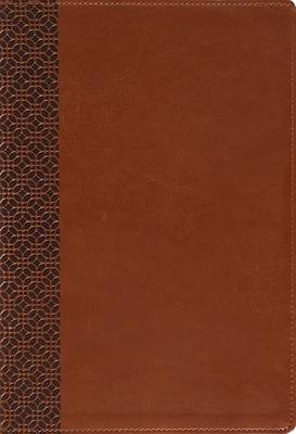 Amplified Holy Bible, Large Print, Leathersoft, Brown