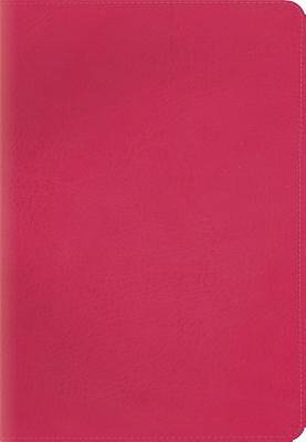 Picture of ESV Kid's Compact Bible (Trutone, Pretty Pink)
