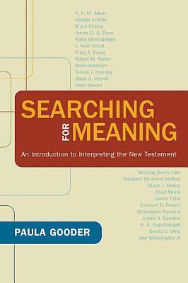 Picture of Searching for Meaning