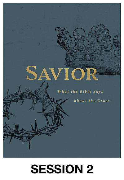 Picture of Savior Streaming Video Session 2