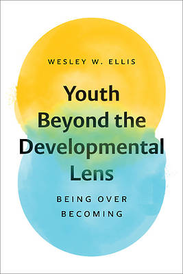 Picture of Youth Beyond the Developmental Lens