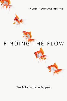 Picture of Finding the Flow