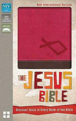 Picture of Jesus Bible, NIV