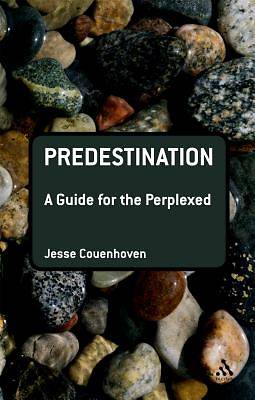 Picture of Predestination