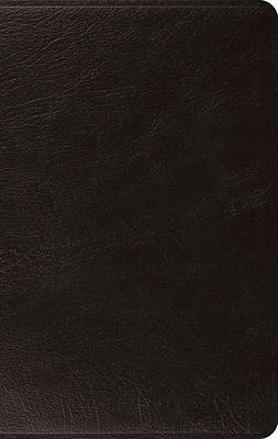 Picture of ESV Large Print Thinline Bible (Black)
