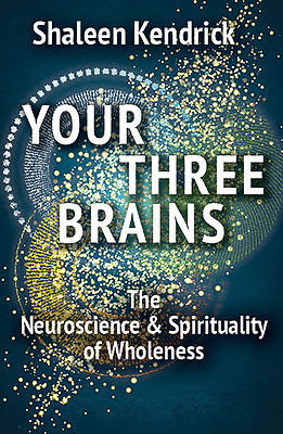 Your Three Brains
